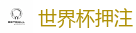 世界杯押注_2026美加墨世界杯官网投注平台